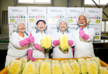 서산 지역 절임배추업체 김장철 맞아 본격 판매
