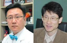 건양대병원 배장호 교수, 경동맥 내중막 두께 표준치 제시