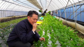 충남농협, ‘젊은협업농장’현장 방문