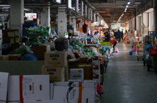 [포토] 한산한 농수산시장