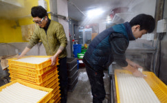 [포토] 가래떡 뽑느라 바쁜 떡집