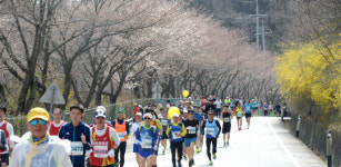 [포토] 봄꽃 물든 고남저수지 달리는 건각들