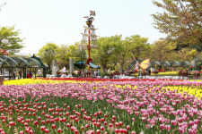 대전오월드 봄 소풍철 핫플레이스로 자리매김