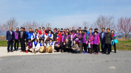 부여군 남면 삼용1리 제1회 복사꽃 행복축제 눈길