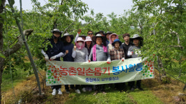 충북도남부출장소, 보은군 산외면서 사과적과 일손돕기