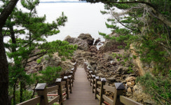 보령 장고도 2018 휴가철 찾아가고 싶은 33섬 선정