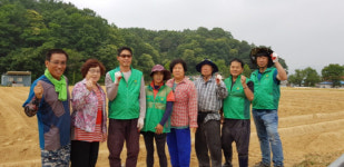 옥천군새마을협의회 회장단 청산면 신매리 참깨식재