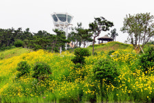 서산버드랜드 꽃길 걸으세요