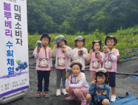 상록어린이집 원아들, 불루베리 따니 너무 재미나요.
