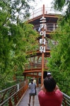 산림엔지니어링백림 | [포토뉴스] 장태산휴향림에 대한 대중의 관심