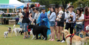 [포토]반려동물 축제 퍼펙트마이펫