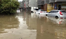 충청권 비 피해 잇따라…인명피해는 없어