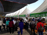 중부권 최대 인삼생산지 음성, 오는 10일 제6회 음성인삼축제 개최