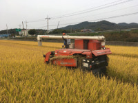 청정 청양쌀이 전국민의 밥상에 올려진다