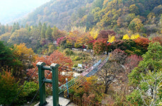 옥천장령산 자연휴양림 단풍절정