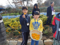 음성 평곡초등학교, 마음을 치유하는 꽃차 만들기 체험