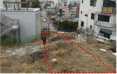 대전 동구, 홍도동 도로개설 완료