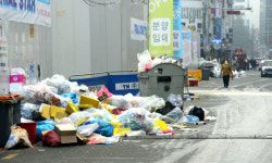 [포토] 대전 둔산동 로데오거리 쓰레기 몸살