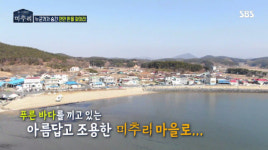 SBS 미추리 촬영지 서천군 서면 월호리 마을 주목