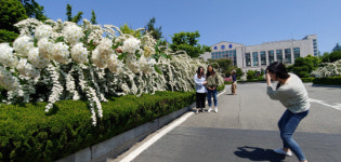 옥천읍사무소에서 힐링 하세요