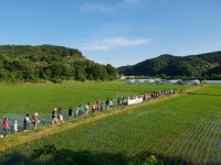 반딧불이 서식처 노루벌 복원 축하행사 열린다