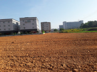세한대 효과... 부동산 경기 둔화에도 당진 남산리 활황