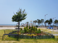 청정 서천 춘장대해수욕장 6일 개장