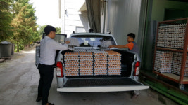 예산농장, 어려운 이웃 위해 계란 3000판 기탁