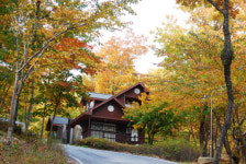 산림청, 10월 국유림 명품숲 ‘황정산 바위꽃숲’