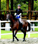 [신팔도유람] 말로는 못할 말 타는 재미