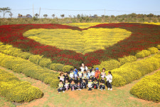 제22회 서산국화축제장 가을 정취 만개