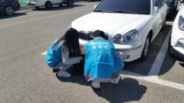 옥천군 체납차량 전국 일제단속의 날 추진한다