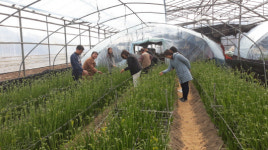공주시, 코로나19 위축된 화훼농가 돕는다!