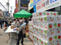 밭 갈아엎는 조합원들, 마음 아파