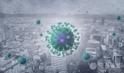 대전 코로나19  퇴원후 재확진 환자 나와… 대덕구 거주