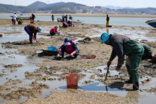 태안군, 국민디자인단과 함께하는 통통(通通)한 어촌마을 만들기