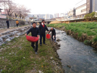 충주시 지현동, 하천생태계 회복을 위한 어린 다슬기 방류