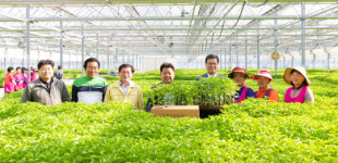 청양군, 27일부터 2100여 농가에 고추묘 100만주 보급