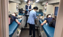LG화학 대산공장 노사, 코로나19 극복 위한 릴레이 헌혈 캠페인