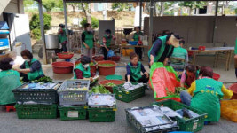예산군 응봉면 새마을남녀지도자, 사랑의 김치 나눔 행사 개최