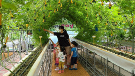 도시농업체험관 박 터널에서 더위 식히고 가세요