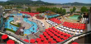 파라다이스 스파 도고 할인 이벤트 풍성