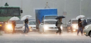 충청권 호우피해 속출