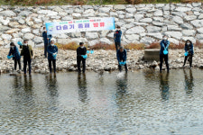 보은군 달천 변에 다슬기종패 52만여 마리방류