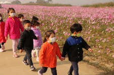 코스모스길에서 가을을 느껴요구드래 가을풍경 돌아보기