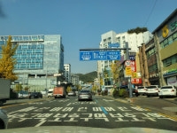 [르포]안전속도 5030 시행 중인 대전 도룡삼거리 차량 급정거 아찔