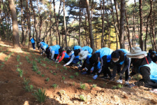 현대제철 가족봉사단, 삼선산에 맥문동 1만본 식재