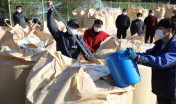[포토] 추곡수매, 쌀 포대 바라보는 농민