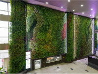 천안시청사 실내 녹색공원 탈바꿈!