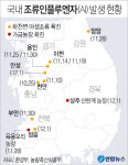 전북 정읍 이어 경북 상주 농장도 AI 확진